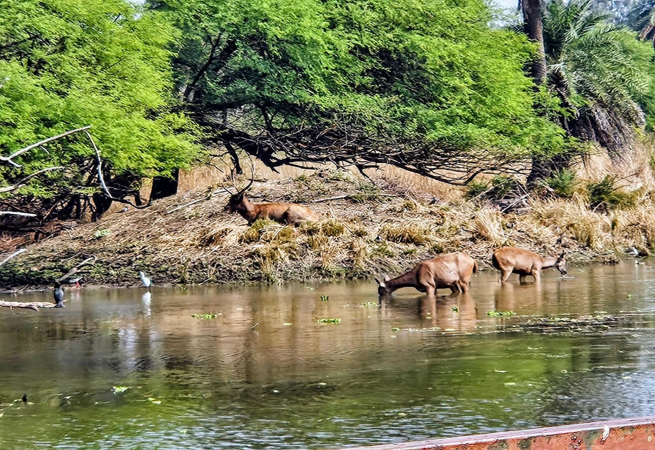 Sustainability and circular economy